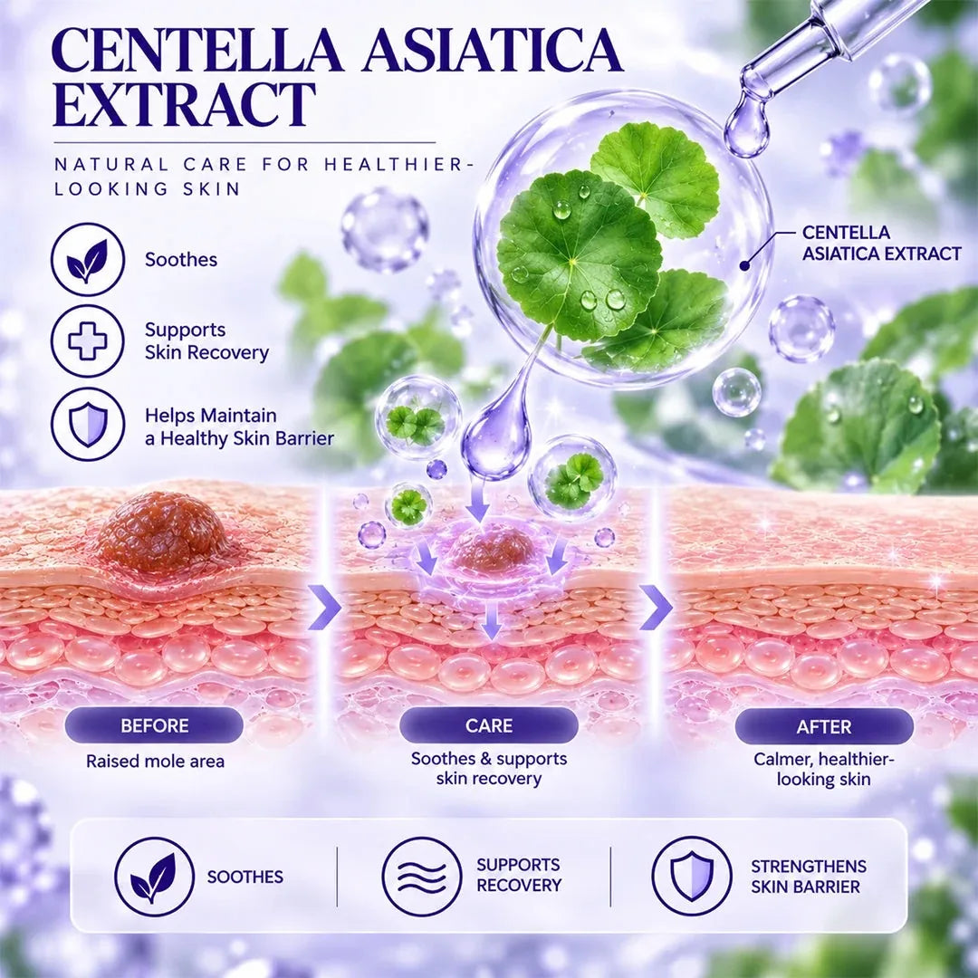 Centella asiatica botanical skin-conditioning illustration